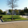 Sevilla a nivel europeo en superficie de zona verde por habitante.