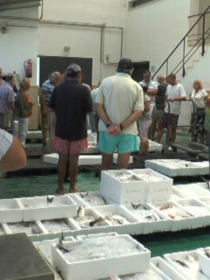 La lonja de Chipiona facturó en 2015 un 14,74 por ciento más de pescado y marisco