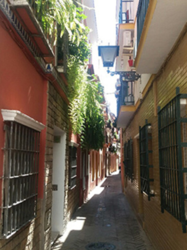 La calle Verde de Sevilla