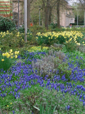 A Sevilla le falta color