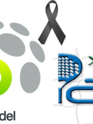 Luto en el pádel andaluz