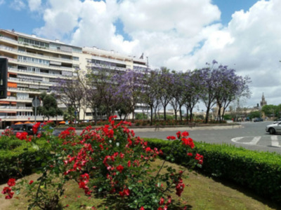 Plaza de Cuba de Sevilla