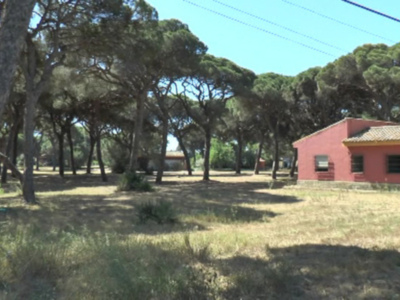 Manuel Rodríguez satisfecho con la seguridad y limpieza en la romería y el avance en concienciación(Chipiona)