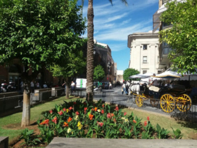 Color y jardines en el casco histórico de Sevilla