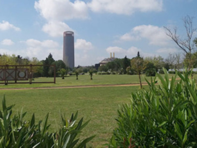 El proyecto CENINPA