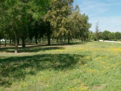 Sevilla, Parque del Tamarguillo (Alcosa)