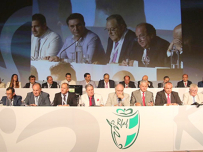 La Asamblea de la Ilusión, unidad y excelencia