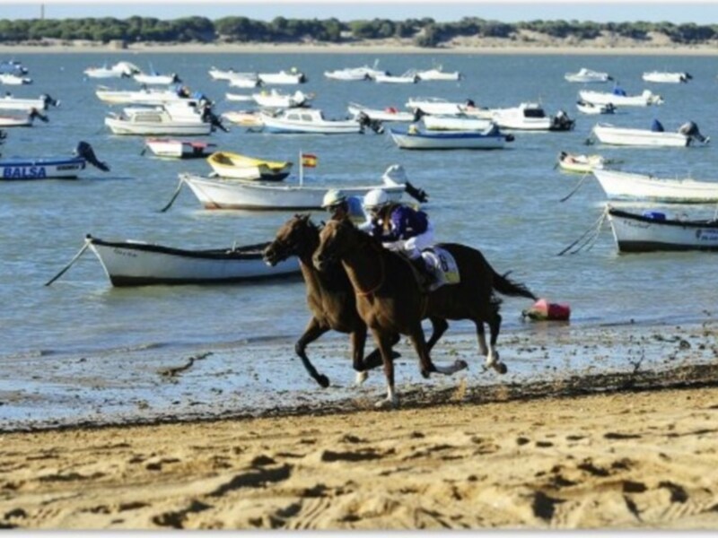 En la imagen, un caballo y su jinete corren por una playa arenosa junto a un mar tranquilo, rodeados de varias embarcaciones. La escena captura la energía y el entusiasmo del deporte ecuestre en un ambiente natural.
