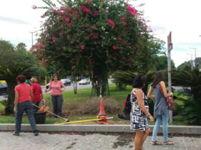 El Ayuntamiento de Sevilla, pionero en España en la integración de la mujer en las tareas de jardinería urbana.