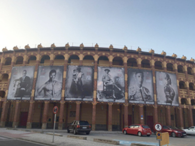 La campaña "Alquimia y Oro" inunda las calles de Zaragoza