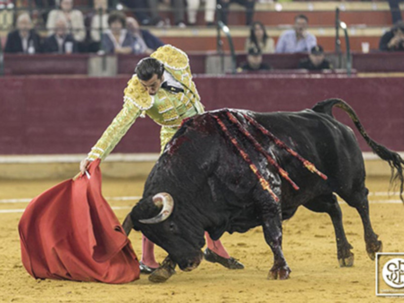 David Mora pasea un trofeo y deja huella en su paso por Zaragoza