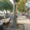 Accesibilidad y discapacidad en las calles de Sevilla