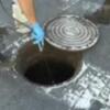 Ejecutan la campaña de desratización en las vías públicas y la red de saneamiento de Chipiona