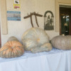 Las mejores calabazas de la provincia de Cádiz