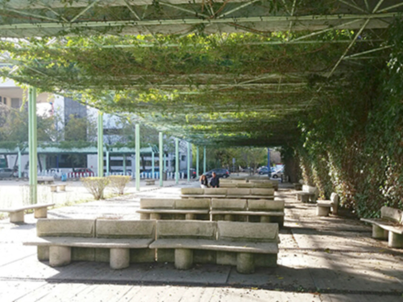 Las pergolas en Sevilla