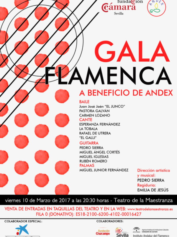 La Fundación Cámara de Comercio de Sevilla, ha presentado esta mañana en rueda de prensa la Gala Flamenca, que se celebrará el próximo 10 de marzo a b
