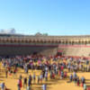 El viernes 21 de abril, Jornada de Puertas Abiertas en la Plaza de Toros de Sevilla