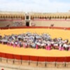 Más de 1.000 escolares y universitarios participan en el taller de toreo en la Plaza de Toros de Sevilla