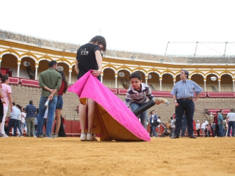 El número de participantes superó las 3.000 personas del año pasado. Los aficionados llenaron el ruedo de la plaza de toros en esta iniciativa de la E