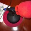 El programa "Sevillaneando", de Onda Sevilla Radio