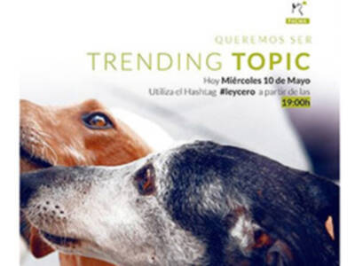 Apúntate este día en el calendario, puede ser histórico en la lucha por los derechos de los animales.