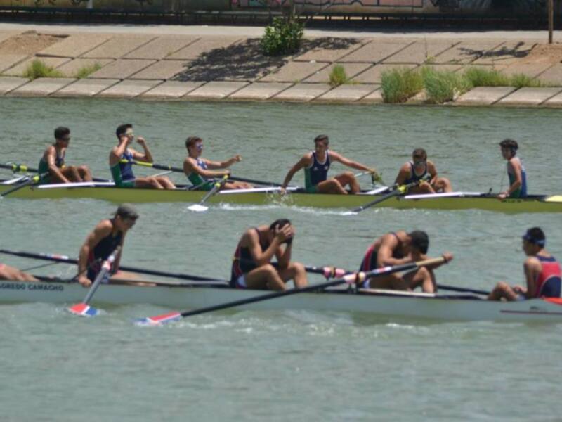 Un equipo de remeros en acción, con remos en movimiento y agua azul claro.