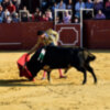 Grandiosa Corrida mixta en la localidad sevillana de Camas.