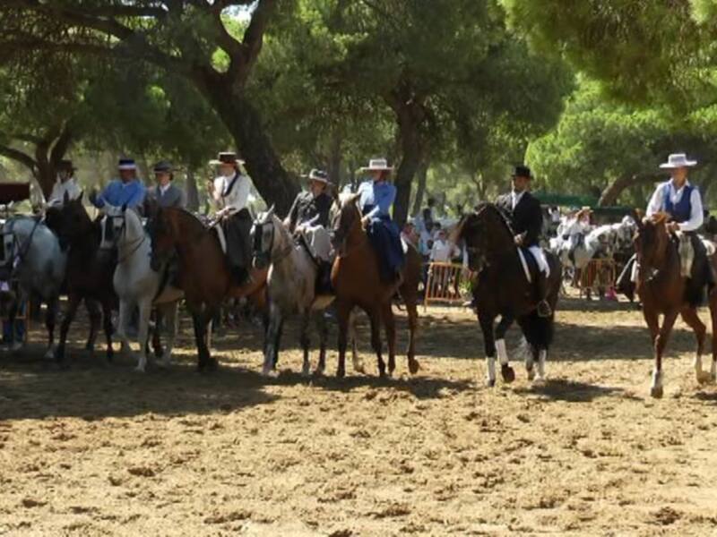 El mundo ecuestre volverá a ser protagonista este fin de semana en la edición de este año de la Fiesta de La Palmicha