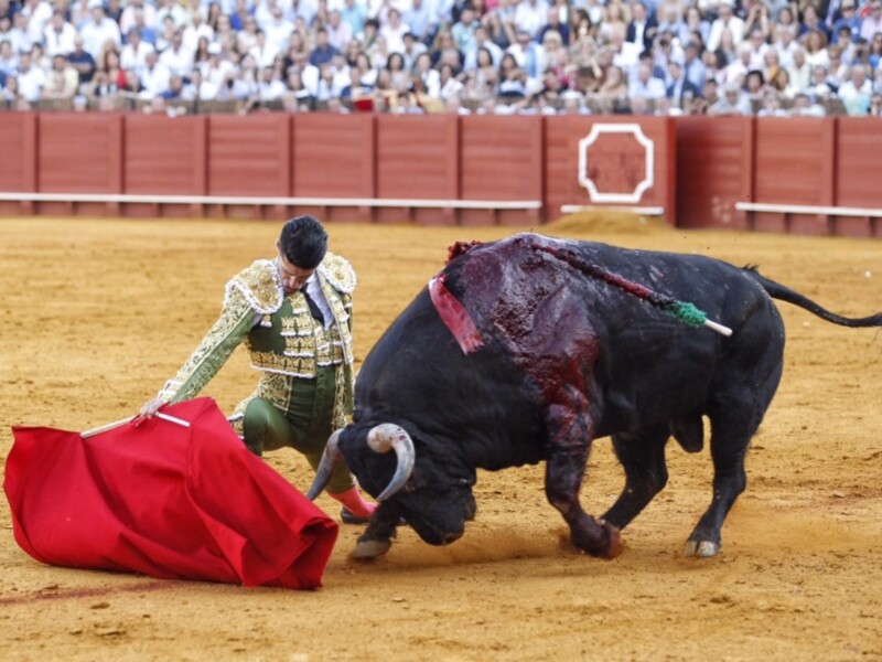 Talavante corta una oreja en la primera de San Miguel