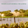 Las Lagunas de Chipiona