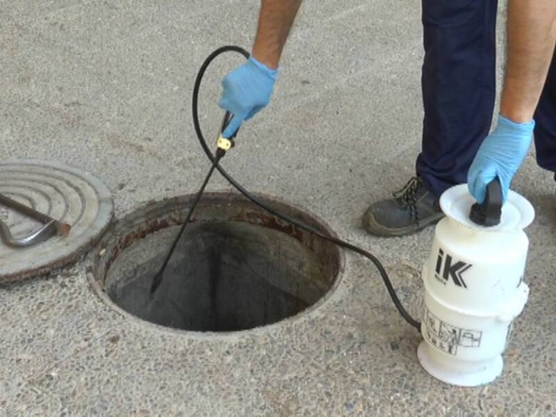 El Ayuntamiento de Chipiona inicia la segunda de las dos campañas anuales de desinsectación y desratización