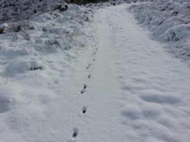 Preparadas para hacer frente a las nevadas en Andalucía, Asturias, Cataluña y Murcia 263 máquinas quitanieves y 36.884 toneladas de fundentes