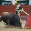Oreja para José Garrido que lo borda al natural con un gran toro de Fuente Ymbro