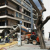 La obra del colector en Los Remedios va finalizando tramos