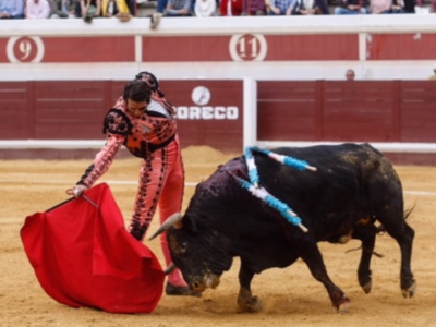 Padilla y Cayetano cortan tres orejas en Lucena