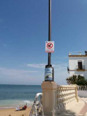 Colocados carteles para recordar la obligatoriedad de cumplir la ordenanza municipal relativa a la tenencia de perros