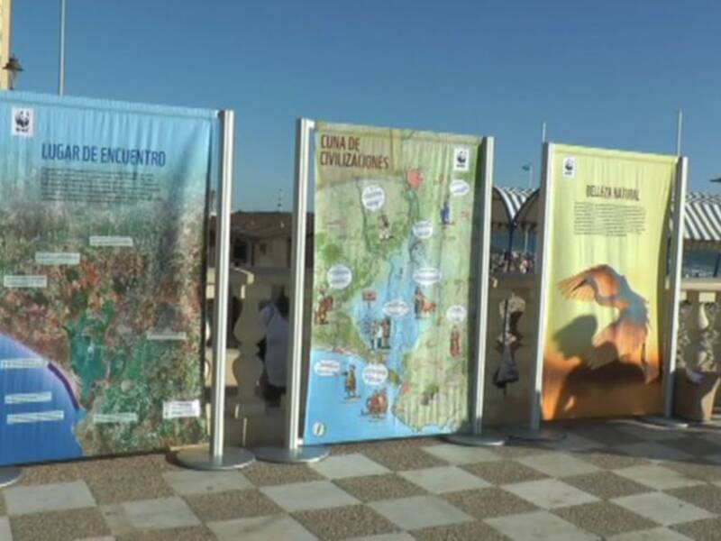 La exposición 'Entremareas' hace ver desde ayer en Chipiona la importancia del estuario del Guadalquivir