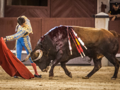 Vuelta al ruedo de Alejandro Fermín y Pablo Mora en la primera de las nocturnas