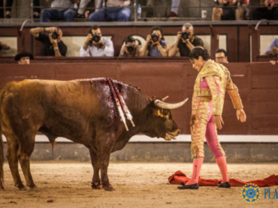 David Salvador y El Galo han saludado una ovación en la última novillada clasificatoria del Certamen de Nocturnas de Promoción.