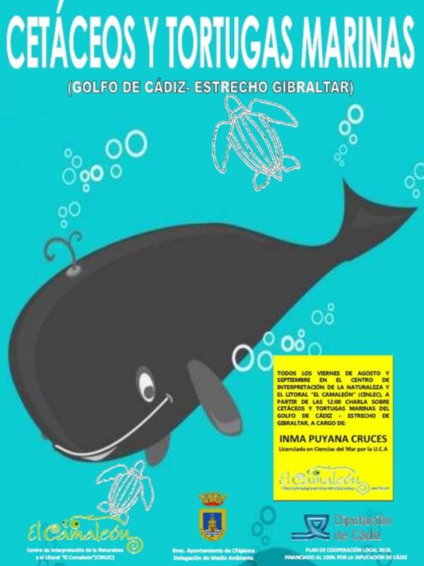 Unas charlas semanales en el Centro El Camaleón acercan el mundo de los cetáceos y tortugas marinas del Golfo de Cádiz y el Estrecho de Gibraltar