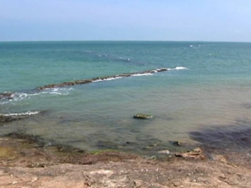 La Junta prohíbe el marisqueo de algunos moluscos en la zona de producción gaditana