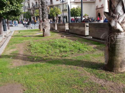 Puerta Jerez es uno de los puntos de mayor tránsito de peatones en Sevilla.
