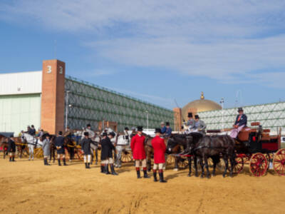 Sicab acoge con éxito el IV Concurso de Enganches de Tradición