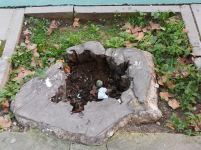 Alcorques que presentan riesgo para la seguridad de los peatones en la vía pública