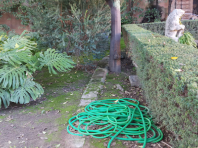 El mantenimiento y la conservación de los jardines del Real Alcázar de Sevilla a examen.