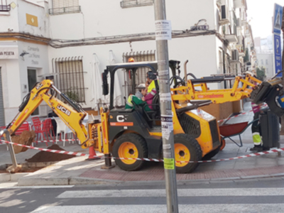 Nuevas plantaciones de árboles en Los Remedios