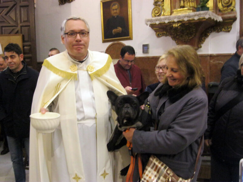Bendición de animales de compañía en la Parroquia de San Roque de Sevilla.