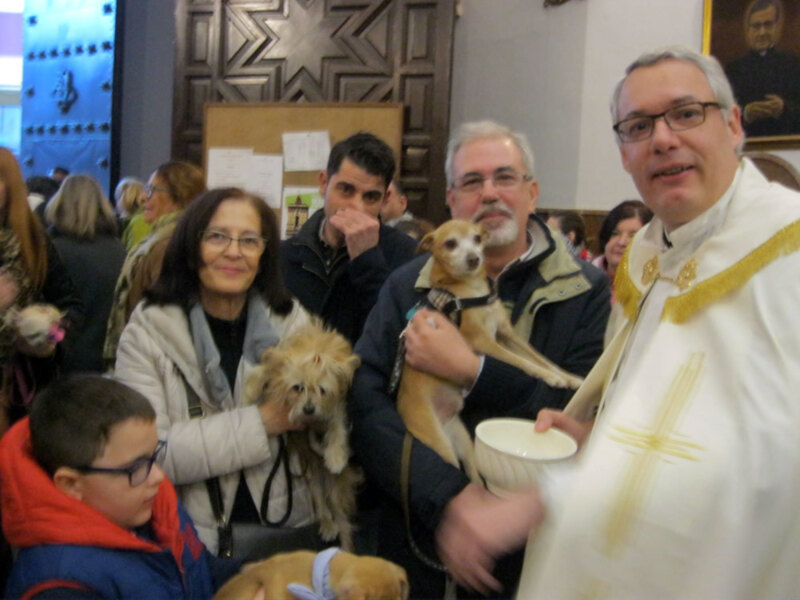 Fiesta de San Antón en la Iglesia de San Roque con bendición de animales de compañía.