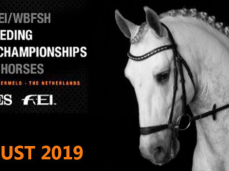 Condiciones de selección para el Campeonato del Mundo de Caballos Jóvenes de Doma Clásica 2019