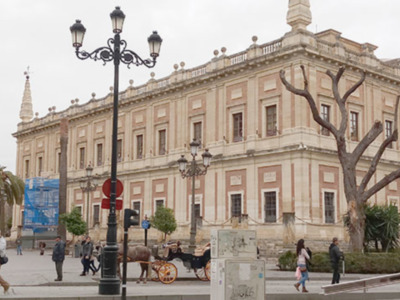 Deterioro del patrimonio verde de la ciudad.